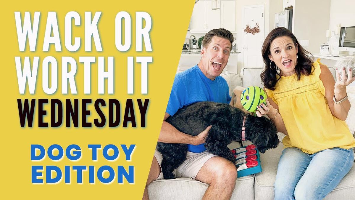 'Video thumbnail for Top 5 Amazon Dog Toys? Tested by a REAL DOG!  Wack or Worth it Wednesday (WOW)'